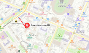 Социальный фонд России (СФР) в Воронежской области