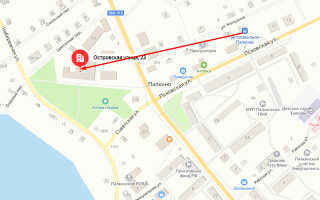 Социальный фонд России (СФР) в р.п. Палкино