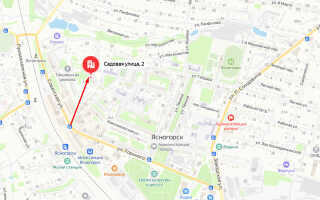 Социальный фонд России (СФР) в г. Ясногорск