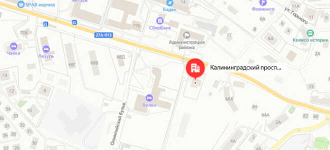 Социальный фонд России (СФР) в г. Светлогорск