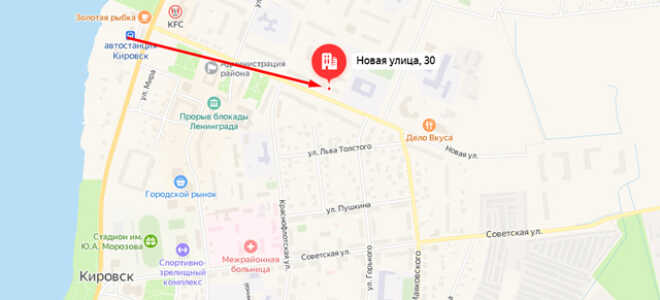Социальный фонд России (СФР) в г. Кировск Ленинградской области