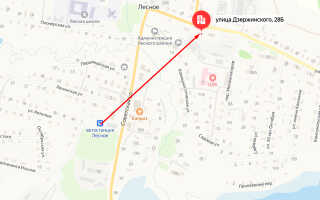 Социальный фонд России (СФР) в с. Лесное