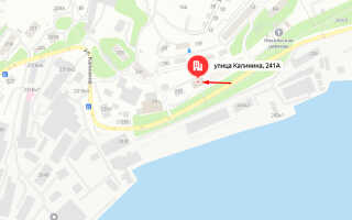 Социальный фонд России (СФР) в Первомайском районе Владивостока
