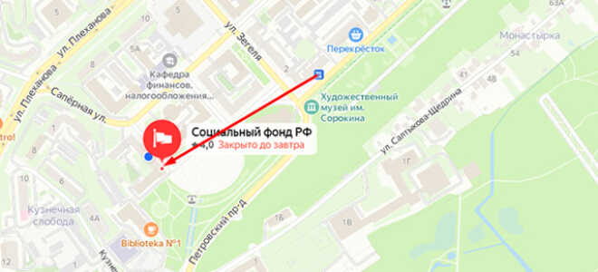 Социальный фонд России (СФР) в Липецкой области